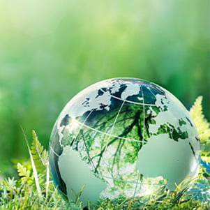 環境コンサルティング